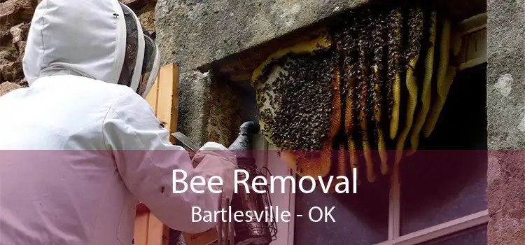 Bee Removal Bartlesville - OK