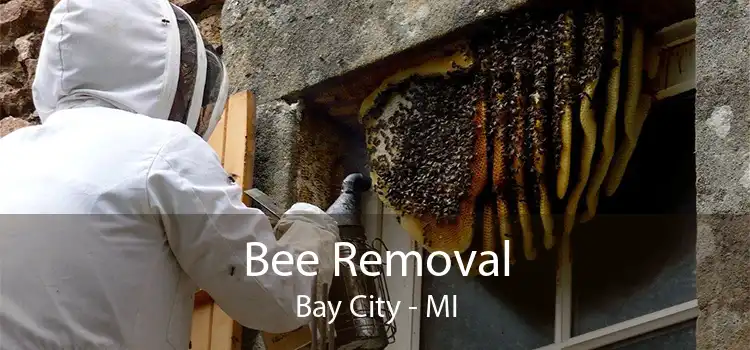 Bee Removal Bay City - MI