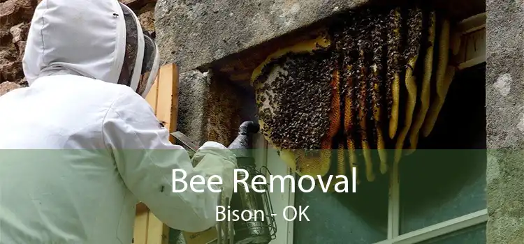 Bee Removal Bison - OK