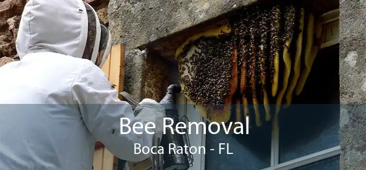 Bee Removal Boca Raton - FL