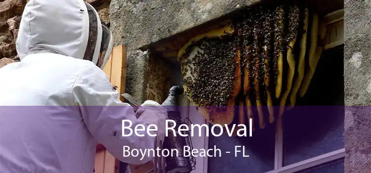 Bee Removal Boynton Beach - FL