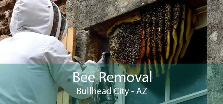 Bee Removal Bullhead City - AZ