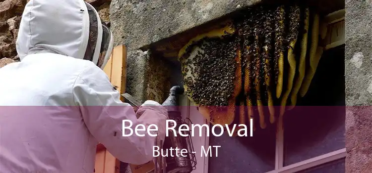 Bee Removal Butte - MT