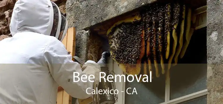 Bee Removal Calexico - CA