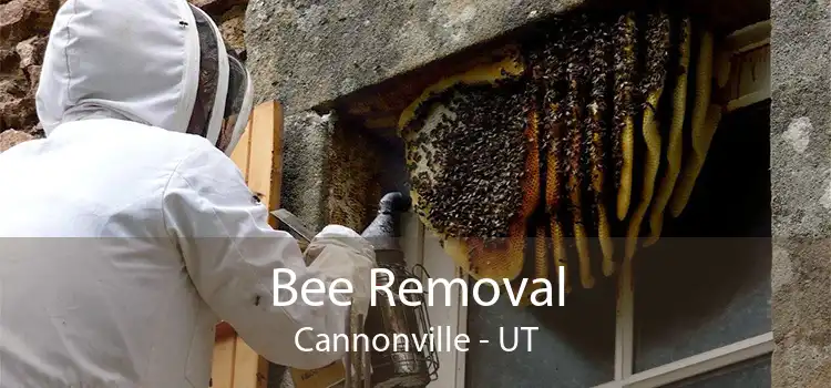 Bee Removal Cannonville - UT
