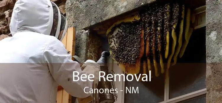 Bee Removal Canones - NM