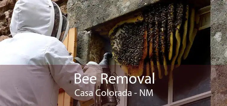 Bee Removal Casa Colorada - NM