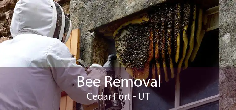 Bee Removal Cedar Fort - UT