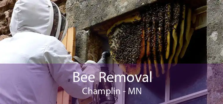 Bee Removal Champlin - MN