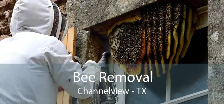 Bee Removal Channelview - TX