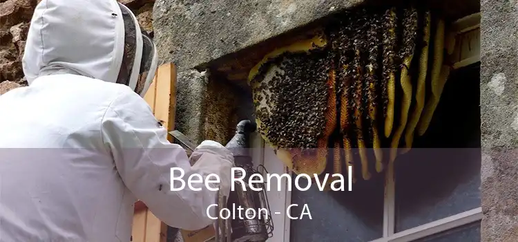 Bee Removal Colton - CA