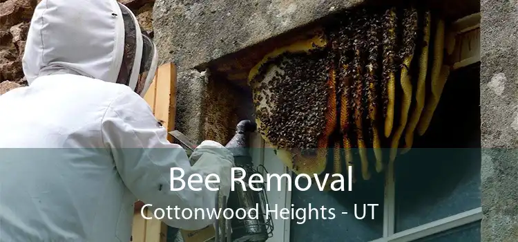Bee Removal Cottonwood Heights - UT