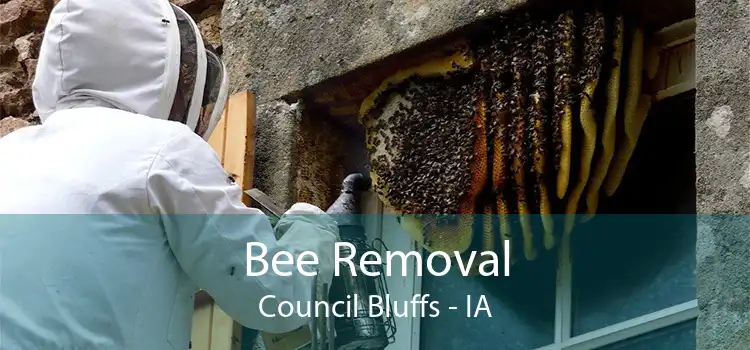 Bee Removal Council Bluffs - IA