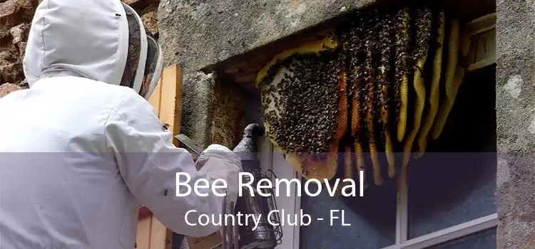 Bee Removal Country Club - FL