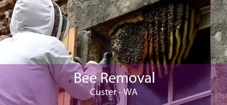 Bee Removal Custer - WA