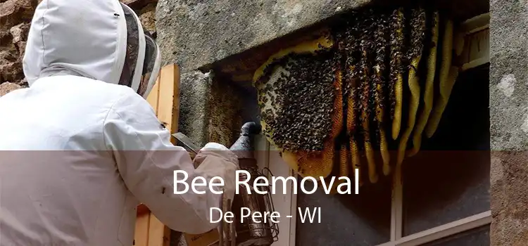 Bee Removal De Pere - WI