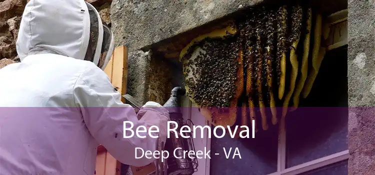 Bee Removal Deep Creek - VA