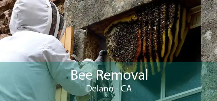 Bee Removal Delano - CA