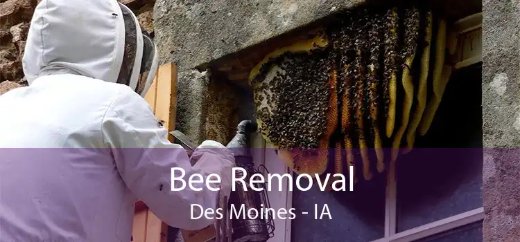 Bee Removal Des Moines - IA