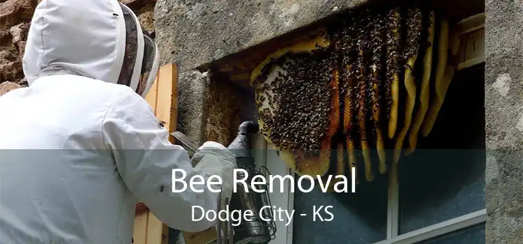 Bee Removal Dodge City - KS