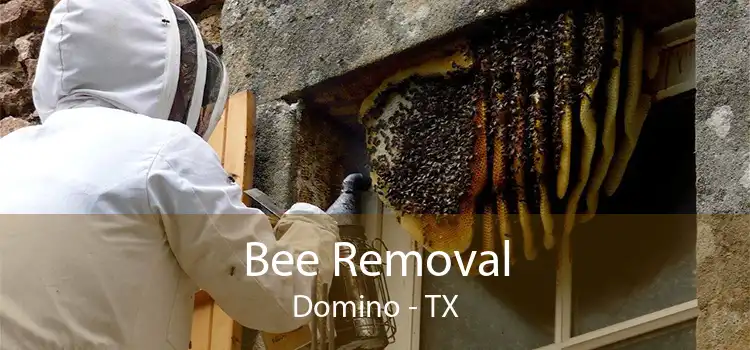 Bee Removal Domino - TX