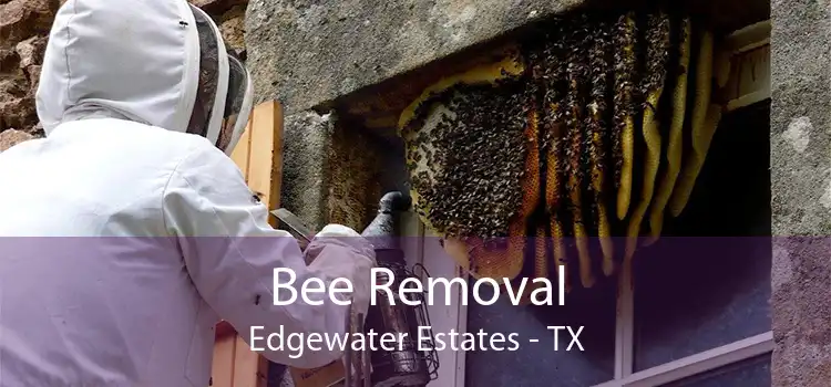 Bee Removal Edgewater Estates - TX