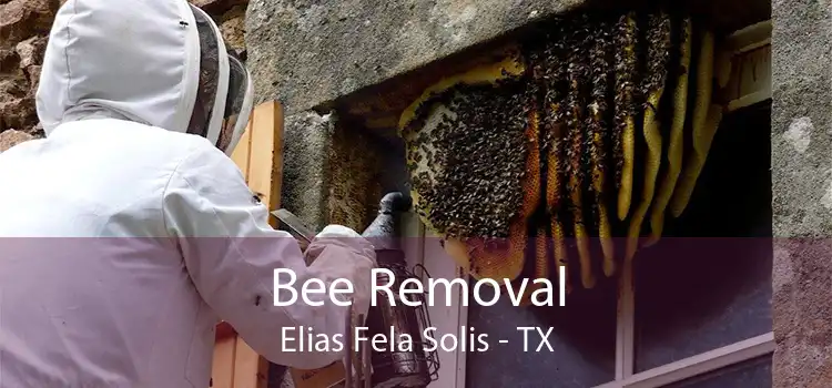 Bee Removal Elias Fela Solis - TX
