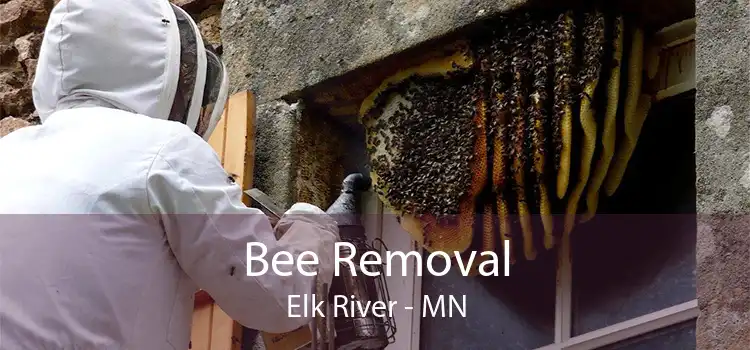 Bee Removal Elk River - MN