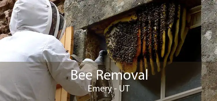 Bee Removal Emery - UT
