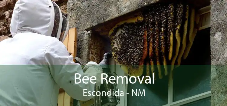 Bee Removal Escondida - NM