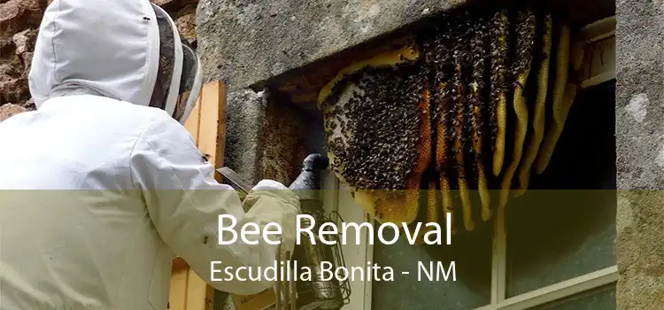 Bee Removal Escudilla Bonita - NM