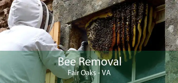 Bee Removal Fair Oaks - VA