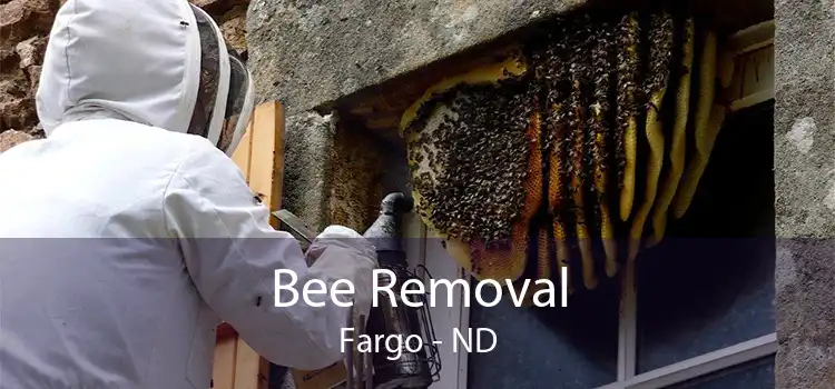 Bee Removal Fargo - ND