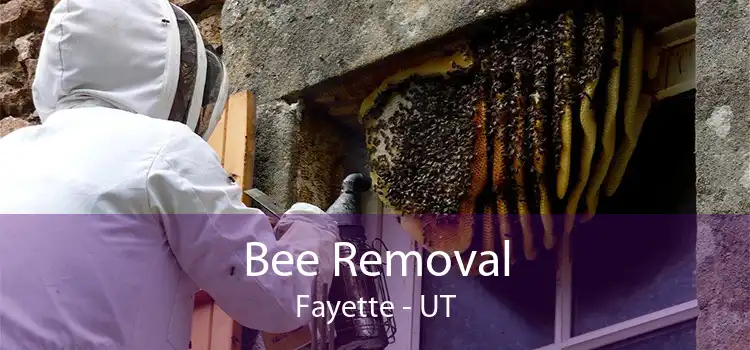 Bee Removal Fayette - UT