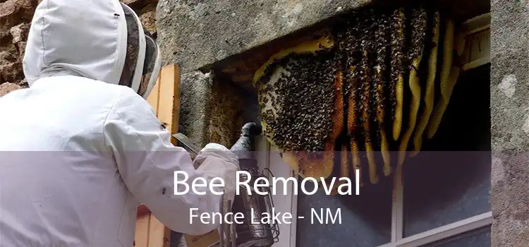 Bee Removal Fence Lake - NM