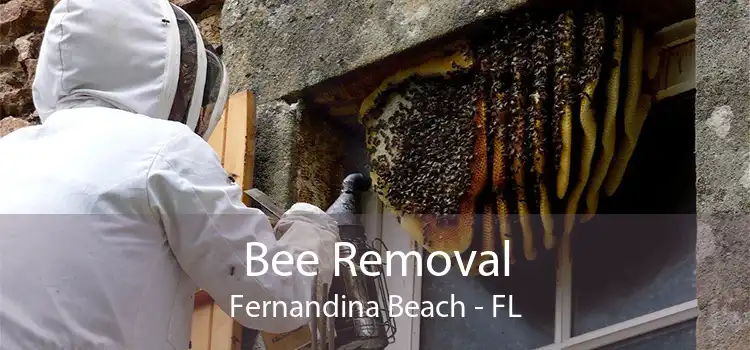 Bee Removal Fernandina Beach - FL