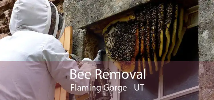 Bee Removal Flaming Gorge - UT