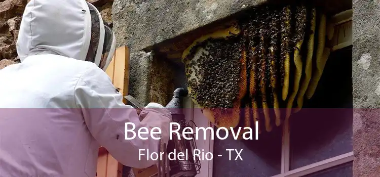 Bee Removal Flor del Rio - TX