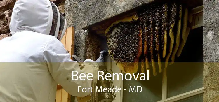 Bee Removal Fort Meade - MD