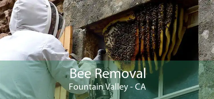 Bee Removal Fountain Valley - CA