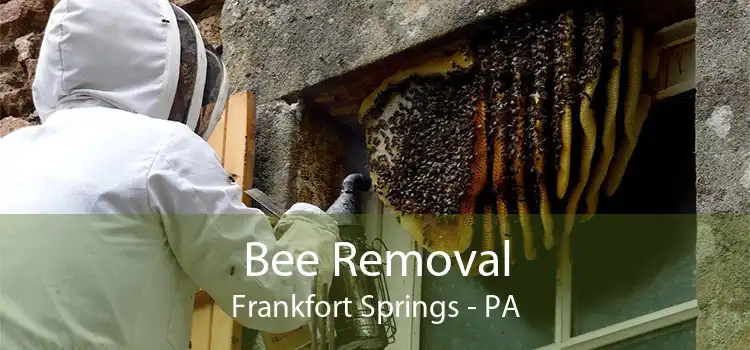 Bee Removal Frankfort Springs - PA