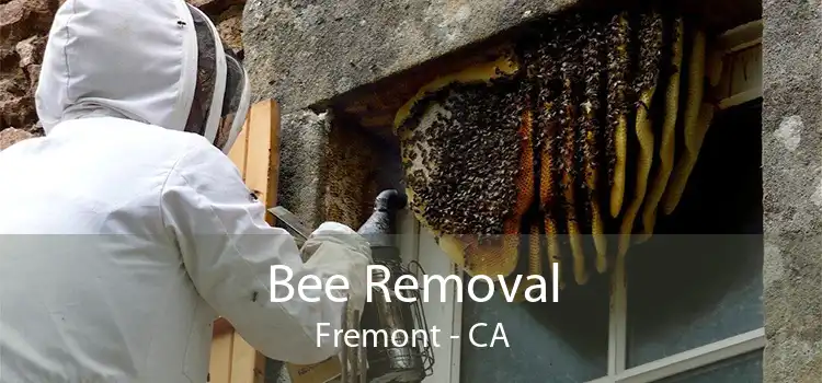 Bee Removal Fremont - CA