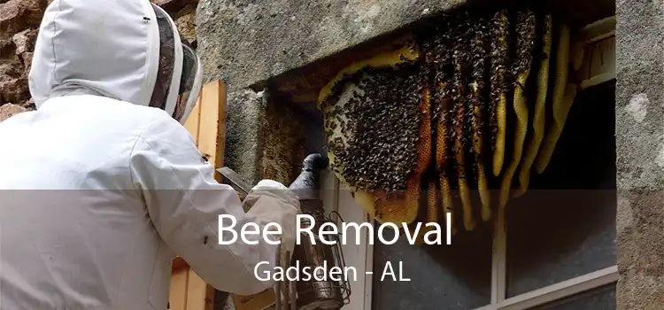 Bee Removal Gadsden - AL