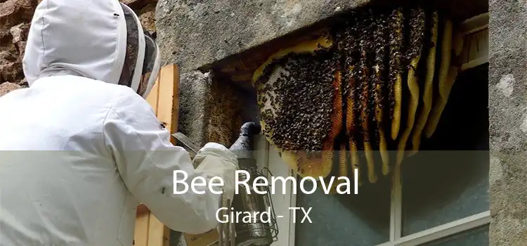 Bee Removal Girard - TX