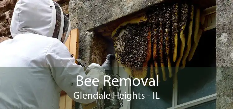 Bee Removal Glendale Heights - IL