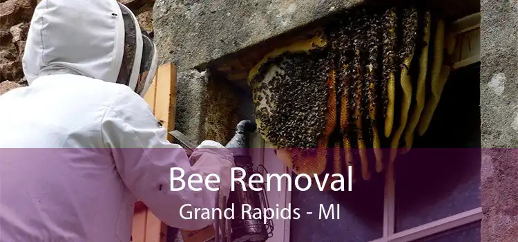 Bee Removal Grand Rapids - MI