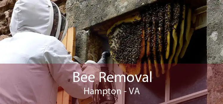 Bee Removal Hampton - VA