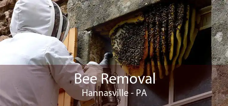 Bee Removal Hannasville - PA