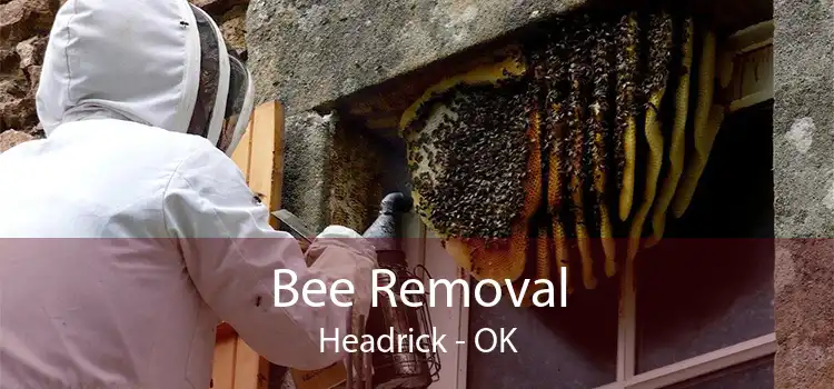 Bee Removal Headrick - OK