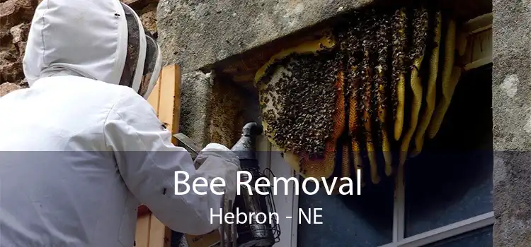 Bee Removal Hebron - NE